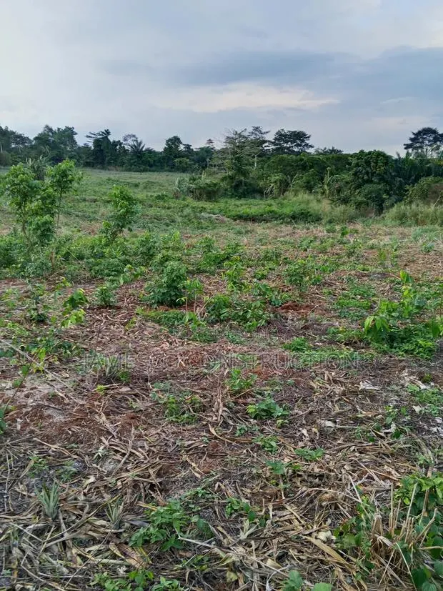 Farmland for Sale