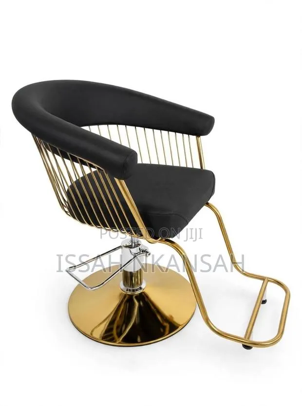 Salon Chair · Photo 4