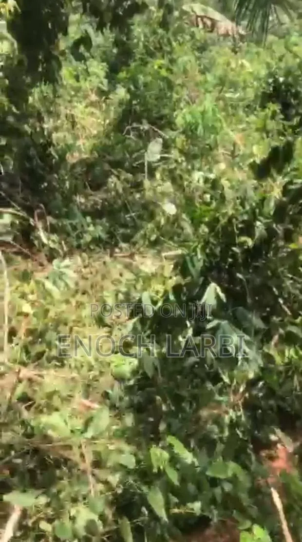 8.33 Acres Farmland for Sale, 1 Acre ( 4 Plots ) · Photo 1
