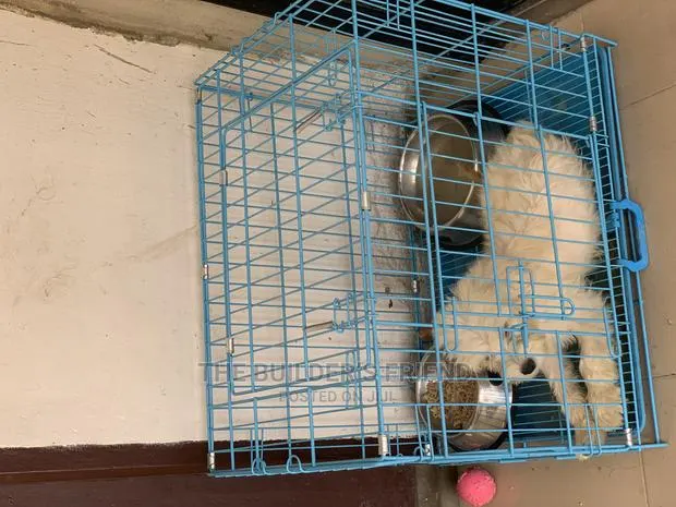 Animal Cage · Photo 1