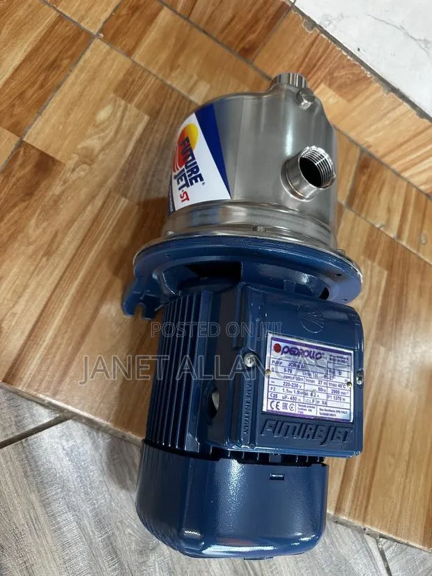 Pedrollo Water Pump · Photo 1