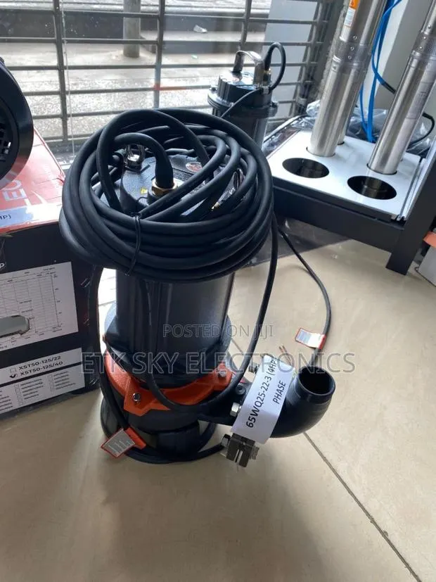 Leo Pump 65wq25-22-3(4hp) Sewage Pump · Photo 1