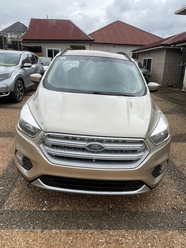 Ford Escape 2017 Silver · Photo 1