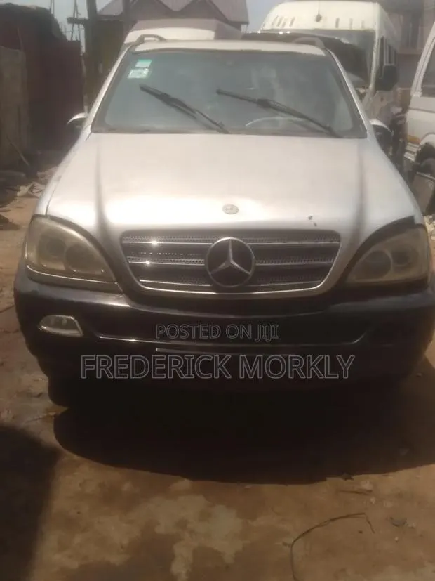 Mercedes-Benz M Class 2004 Silver · Photo 1