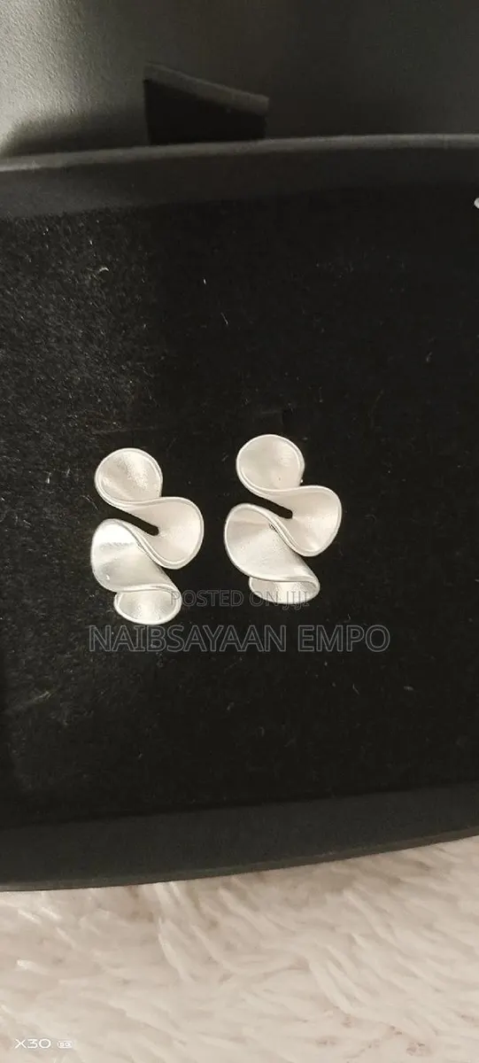 Pleated Wave Stud Earrings · Photo 1
