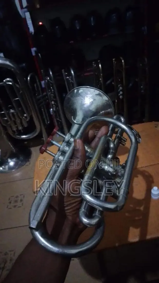 Alto Cornet for Sale · Photo 1