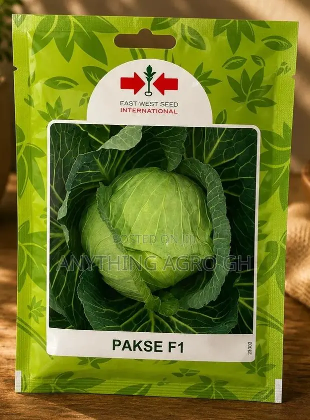Hybrid Cabbage (Pakse F1) · Photo 1