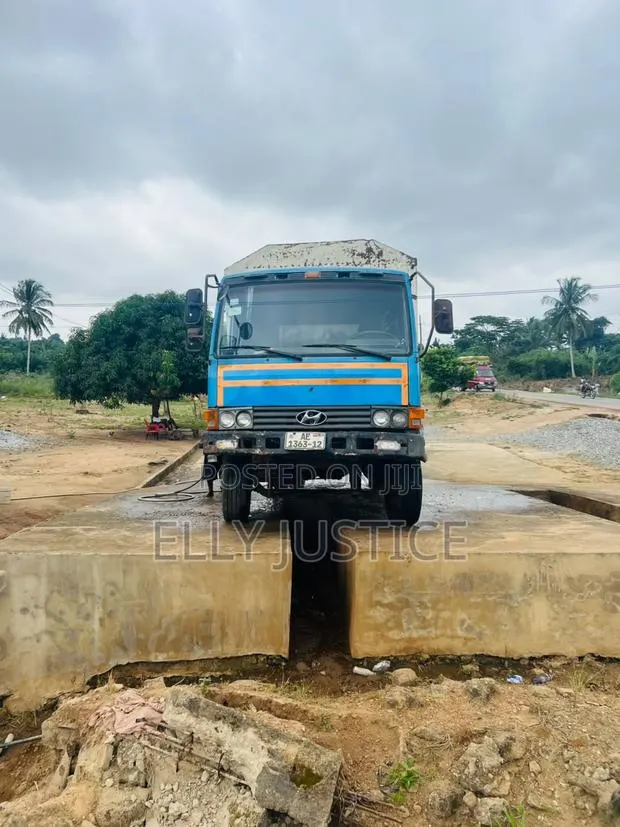 Hyundai Truck 1995 Blue · Photo 1