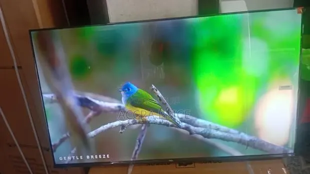 Living Dreams Television 43inches TCL Smart Televisions · Photo 1