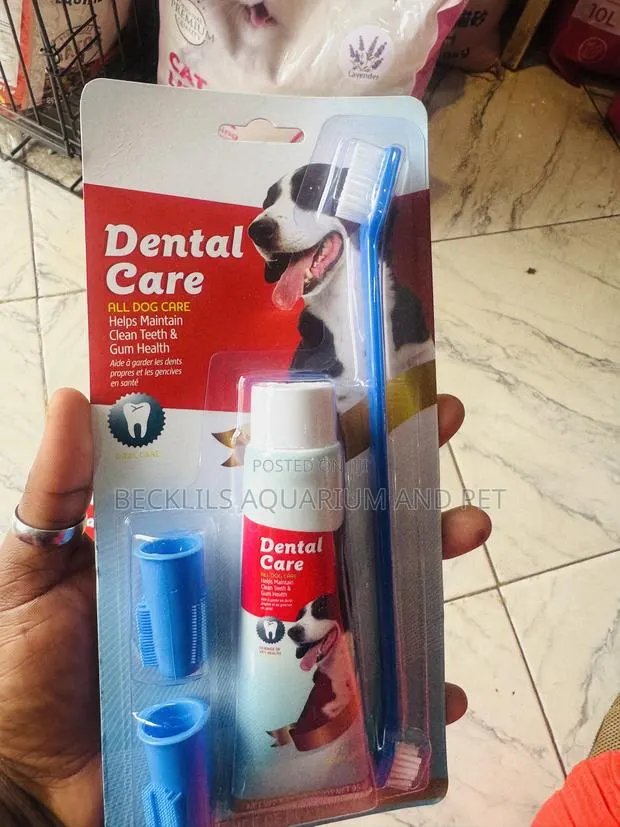 Grade a Dental Care for All Dogs and Cat · Photo 3