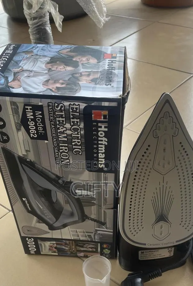 Electric Steam Iron · Photo 1