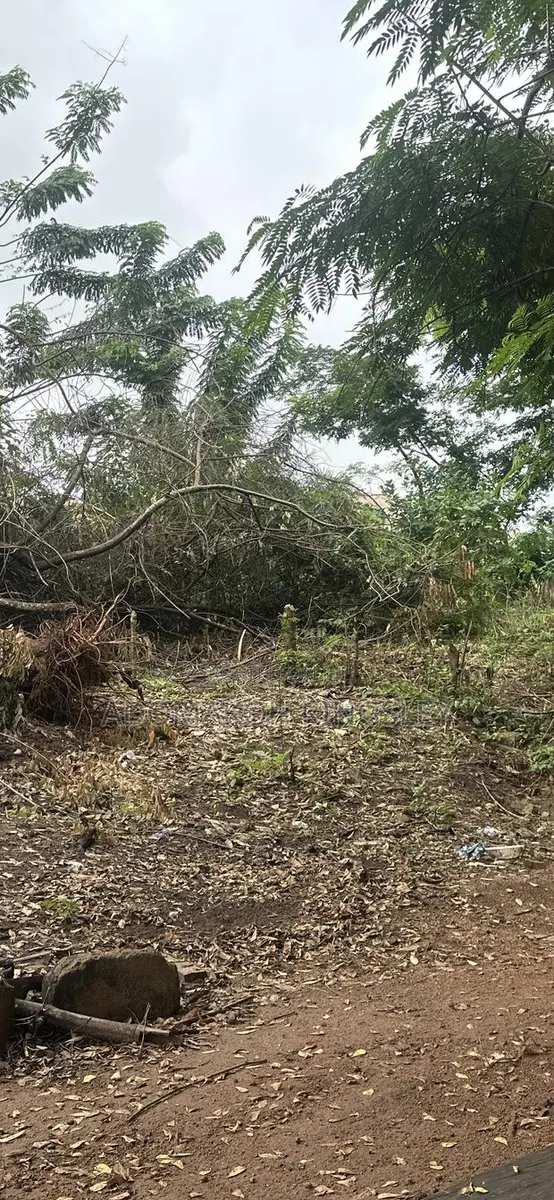 Litigation Free Plots of Land · Photo 1