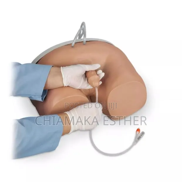 Model Catheterization Manikins Male · Photo 1