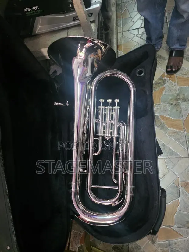 Euphonuim Silver · Photo 1