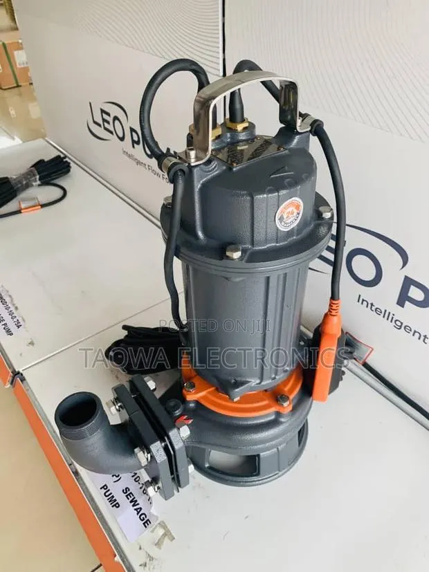 10m3/H Leo Sewage 1.5hp Pump · Photo 1