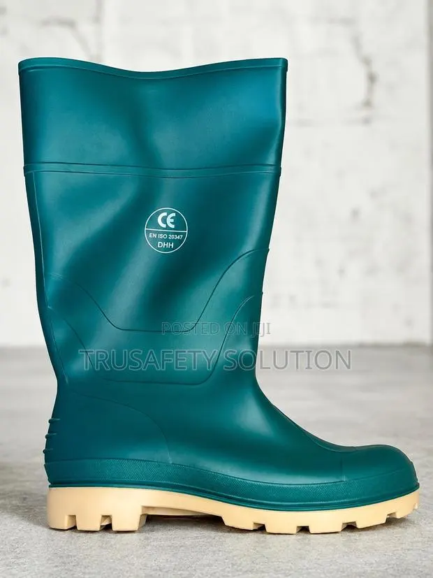 Wellington Boot · Photo 1