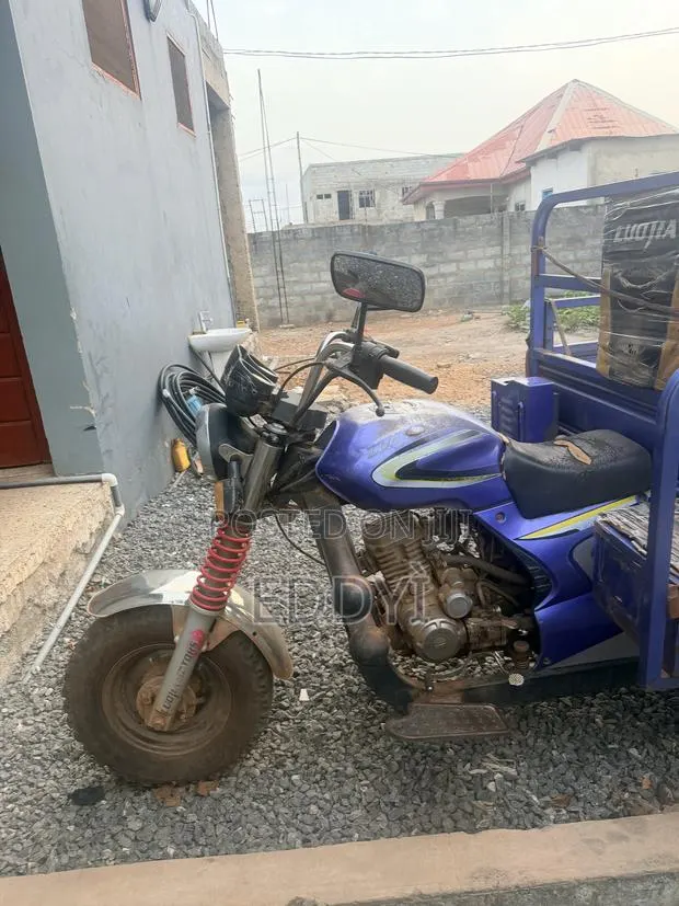 Luojia Motorized Tricycle 2024 Blue · Photo 1