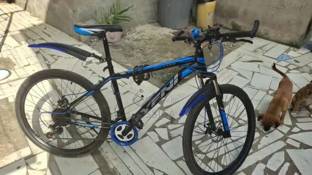 New Motorcycle 2025 Blue · Photo 1