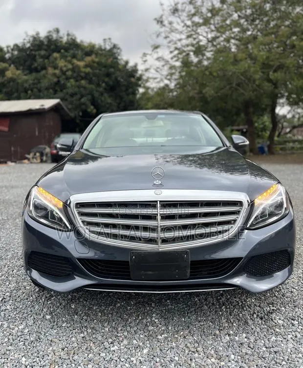 Mercedes-Benz C300 2015 Gray · Photo 1