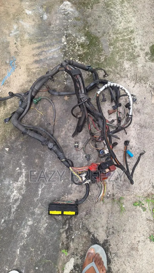 Renault Engine Wires · Photo 1