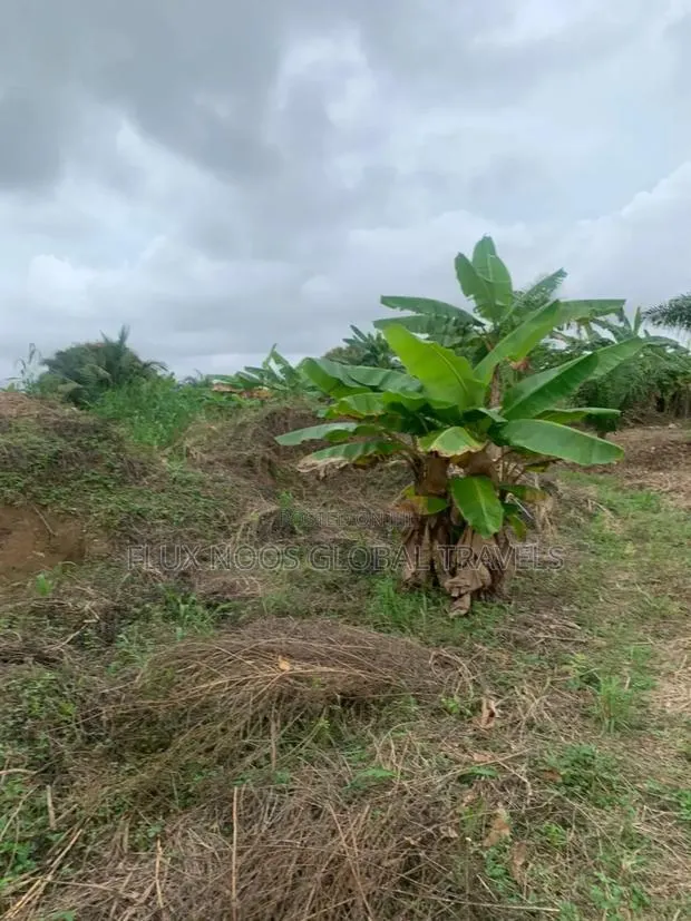 Serviced Lands for Sale at Amasaman Ayikai Doblo. · Photo 1