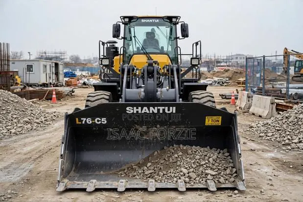 Loader and Other Construction Machines for Hiring · Photo 1