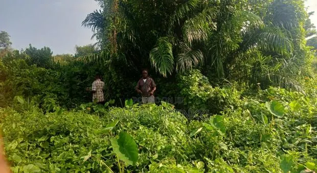 Farm Land for Sale · Photo 1