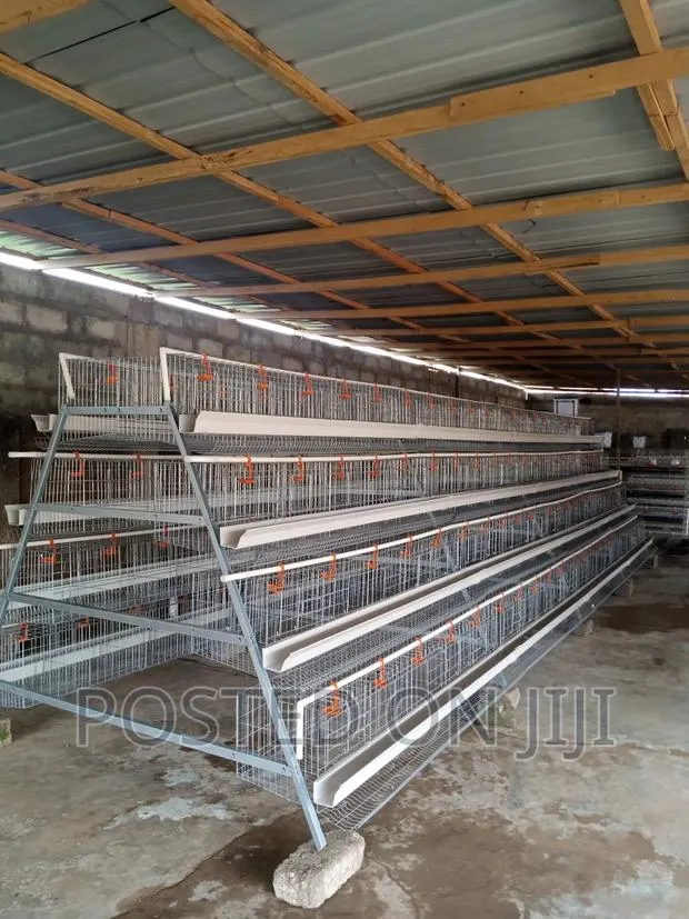 Poultry Chicken Cage · Photo 1
