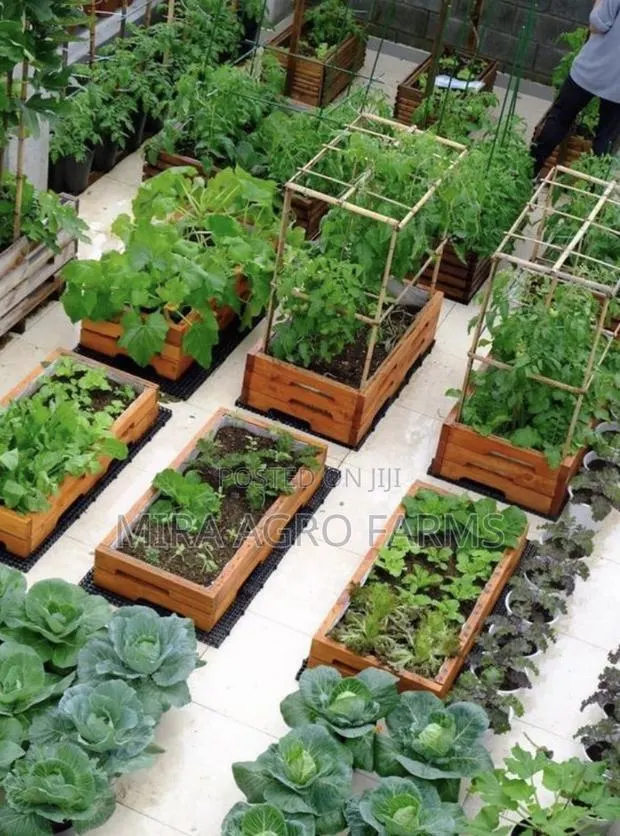 Home Gardening Services · Photo 1