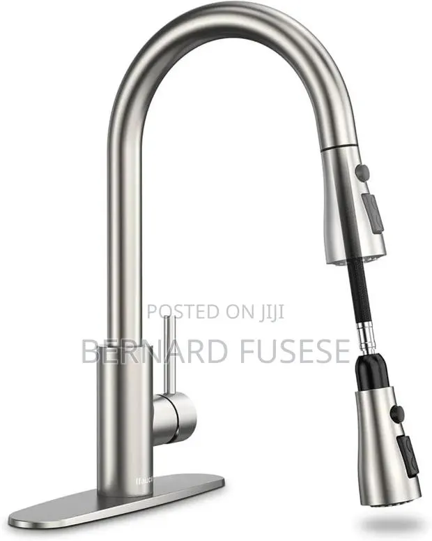 Kitchen Faucet · Photo 1