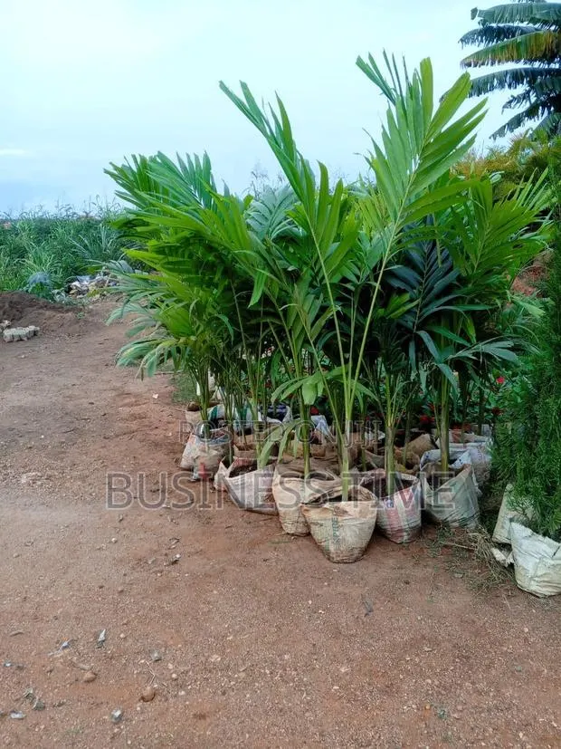 Gardening Services · Photo 4