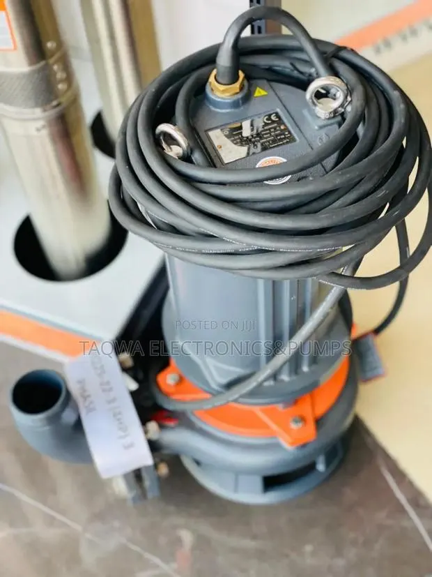 Very Trusted Leo 4hp Sewage Pump · Photo 1