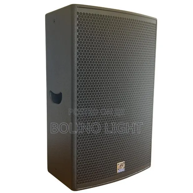 Single 15 Inch Speaker · Photo 1