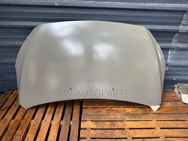 Mirage 2021 Hood · Photo 1