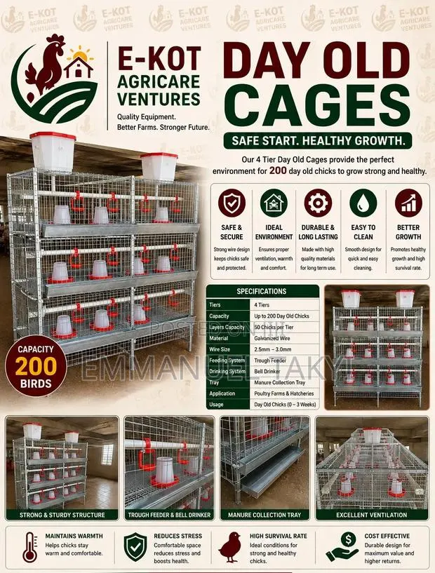 Day Old Cages · Photo 1