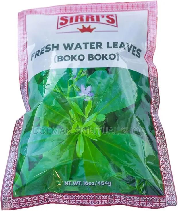 Water Leaves · Photo 2