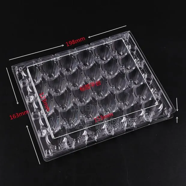 Quail Eggs Crates Available · Photo 1