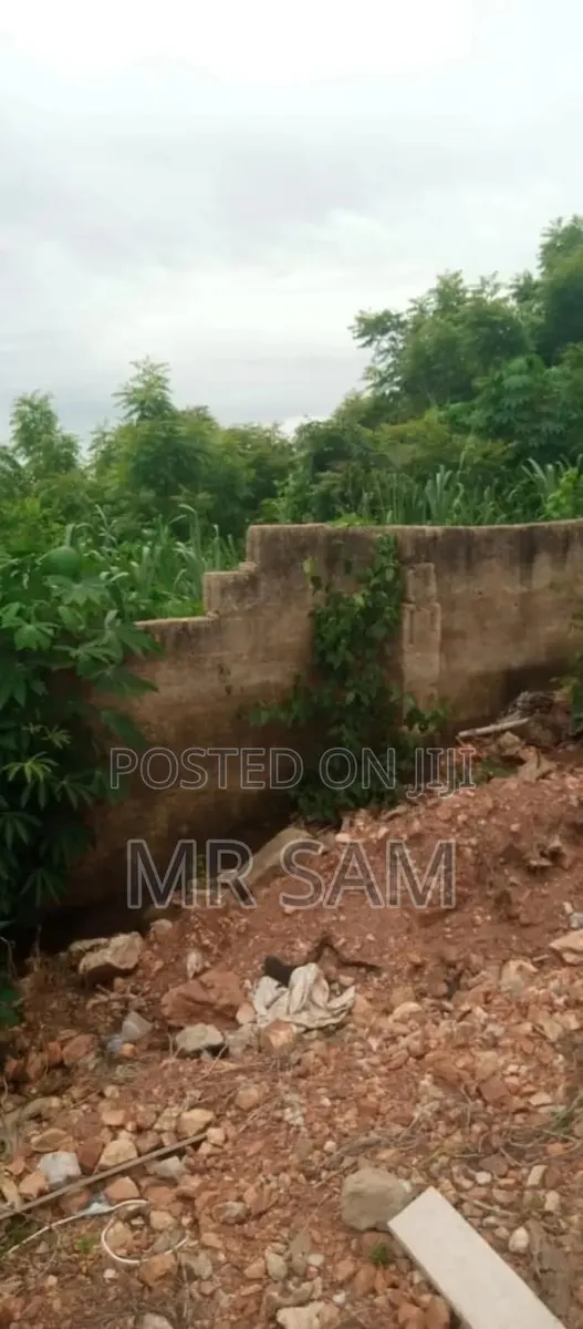 2plot of Land for Sale at Tuba · Photo 1