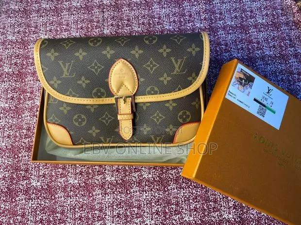 Louis Vuitton Ladies Bag · Photo 1