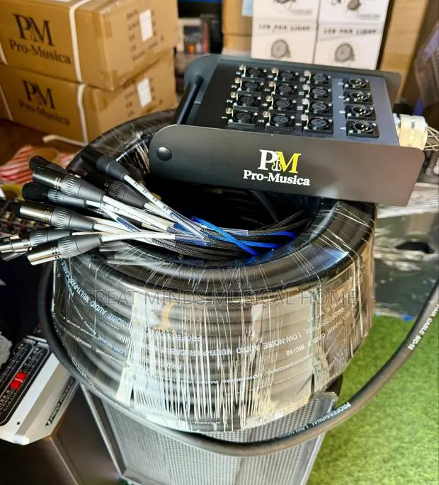 Pro Musica 12 Channels Audio Link · Photo 1