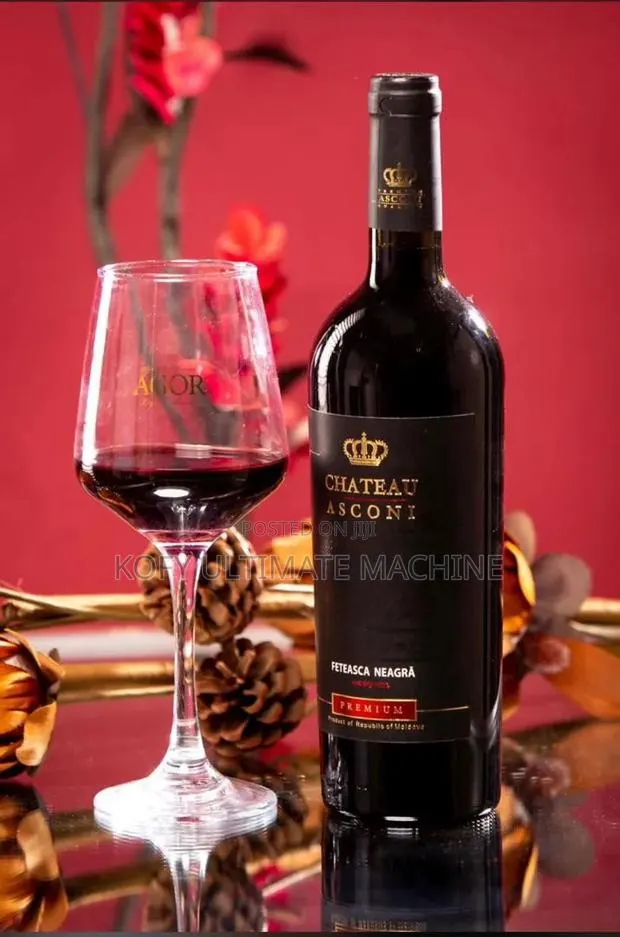 Asconi Chateau · Photo 1