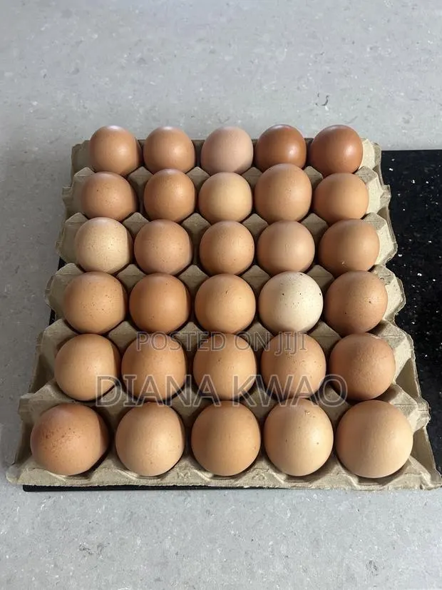 Fresh Eggs for Sale · Photo 2