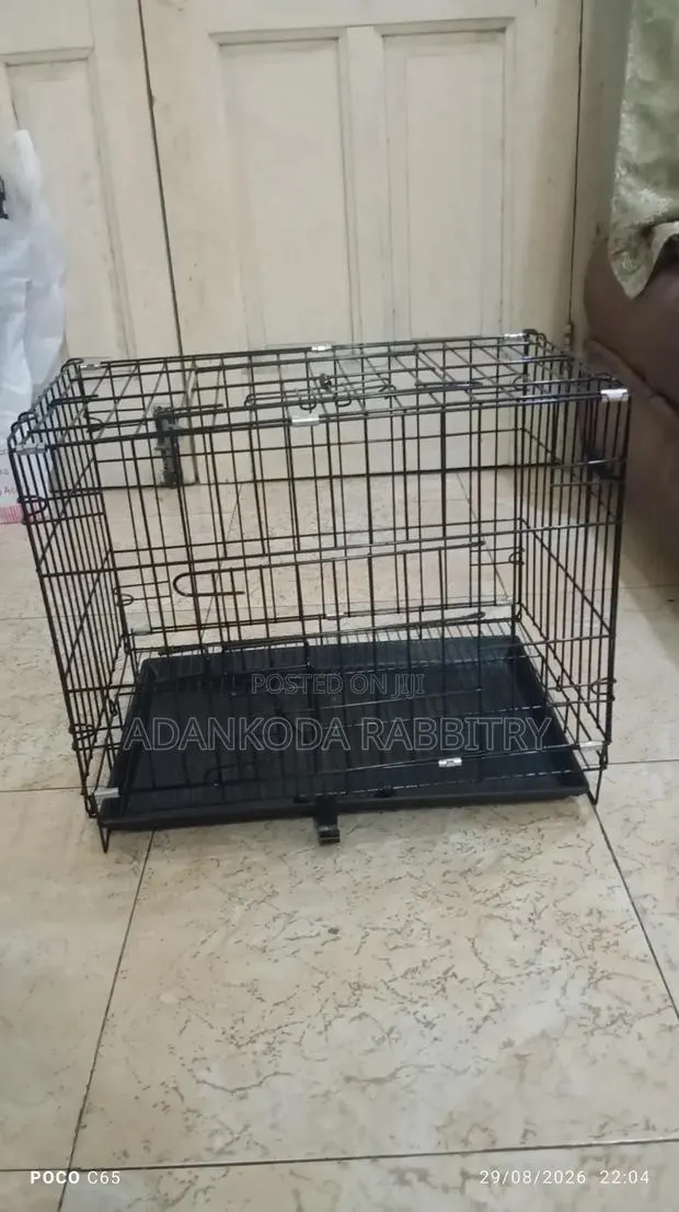 Cages for Animals. Rabbits, Grasscutter, Guinea Pigs, Parrot, Etc · Photo 1