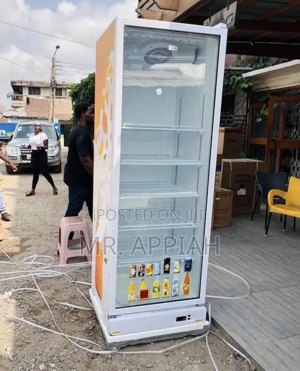 Choose Unique Zara 600bf 591L Single Door Beverage Cooler · Photo 1