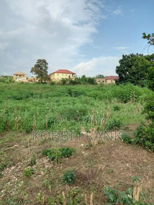Gbetsele Land for Sale · Photo 1