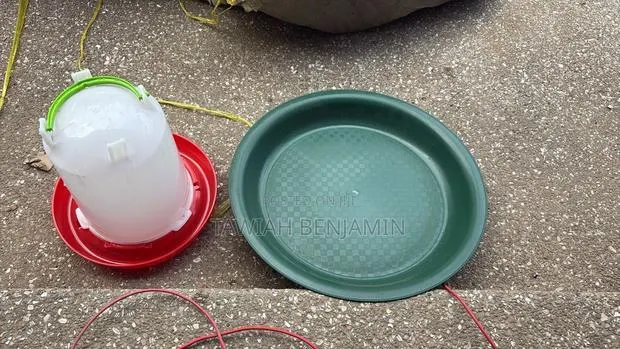 Chicken Feeding Tray · Photo 1