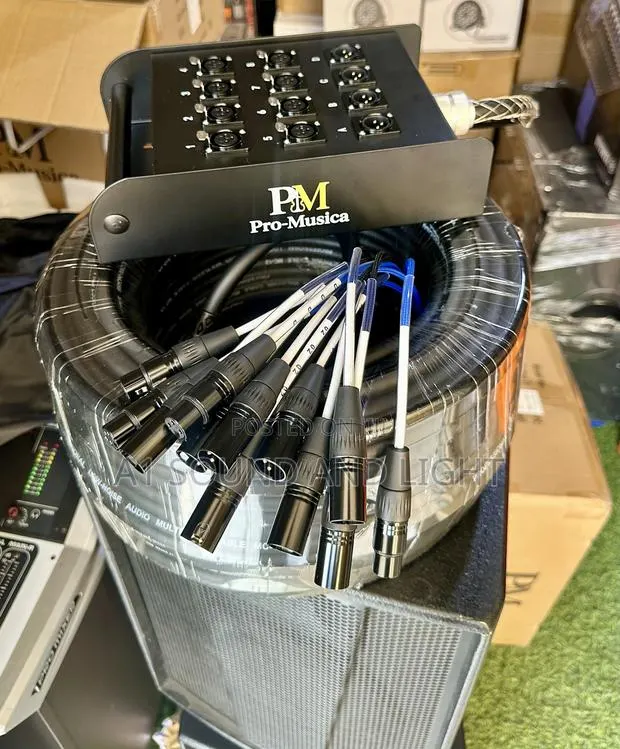 Pro—Musica 8 Channel Audiolink · Photo 1