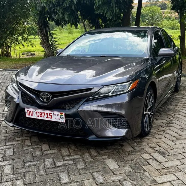 Toyota Camry SE (2.5L 4cyl 8A) 2019 Brown · Photo 1