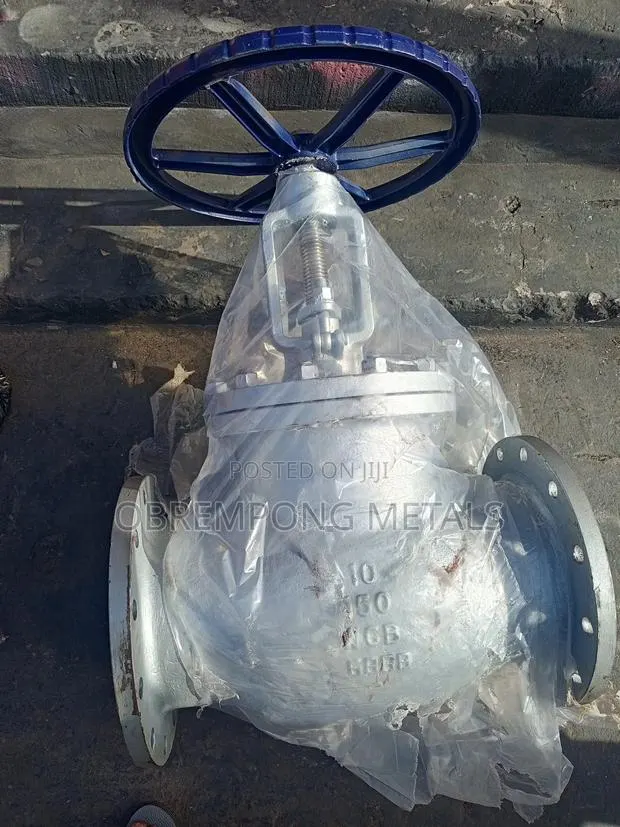 10"" Globe Valve 150lbs · Photo 1