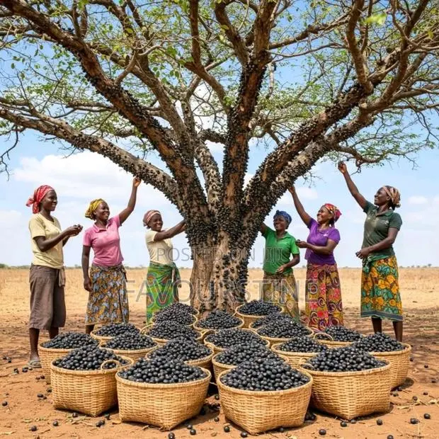 Mini Importation Training · Photo 1